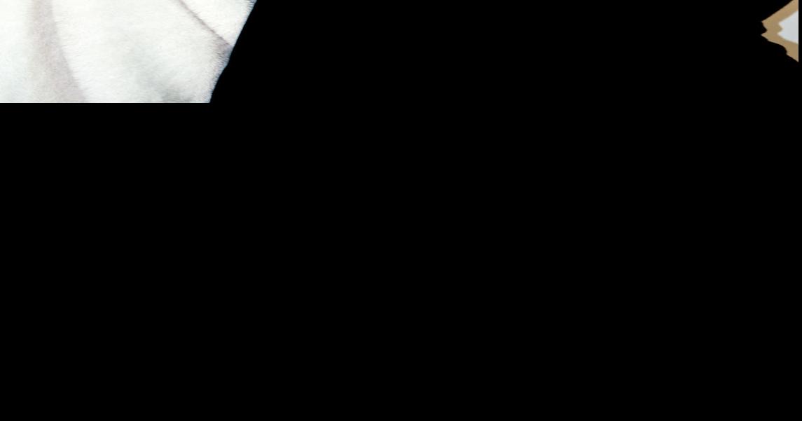 Above and Beyond St. Charles High School's Allison Hansen doesn't let