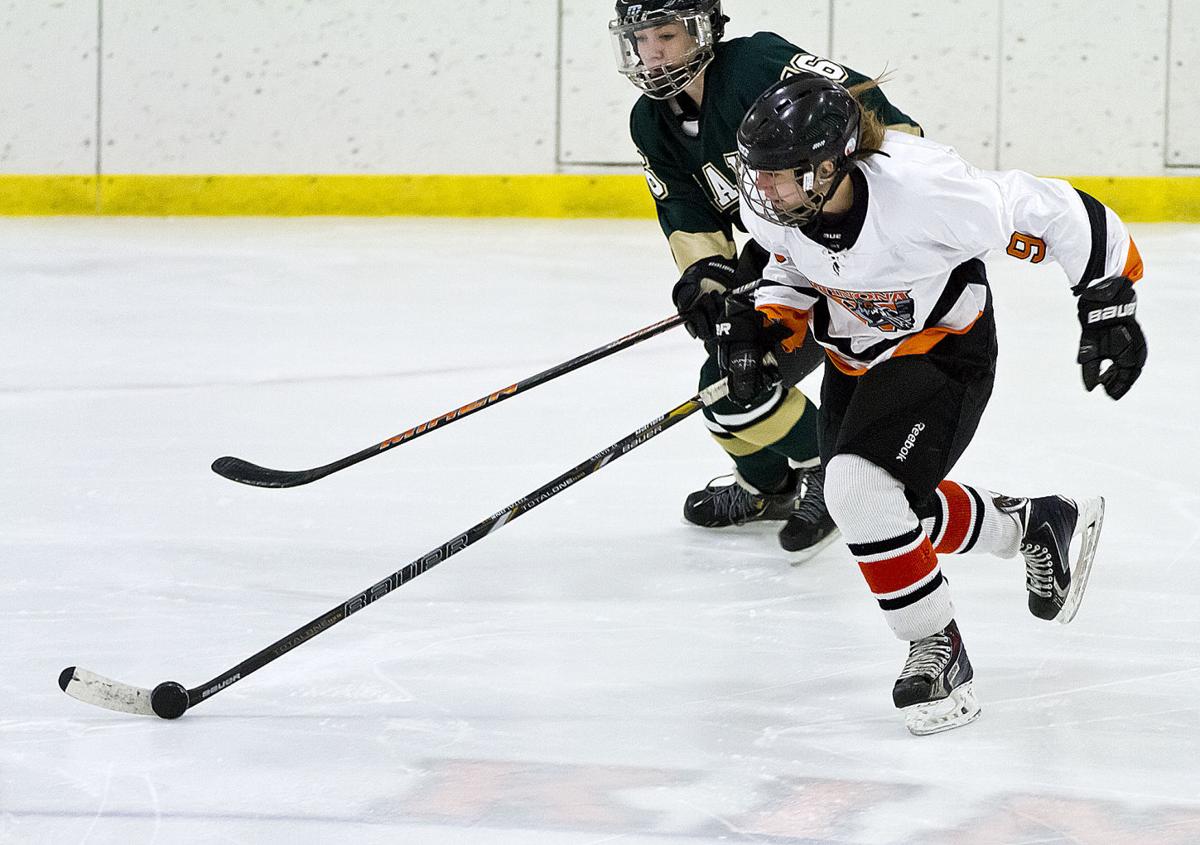 Photos Winona High Girls Hockey 201415