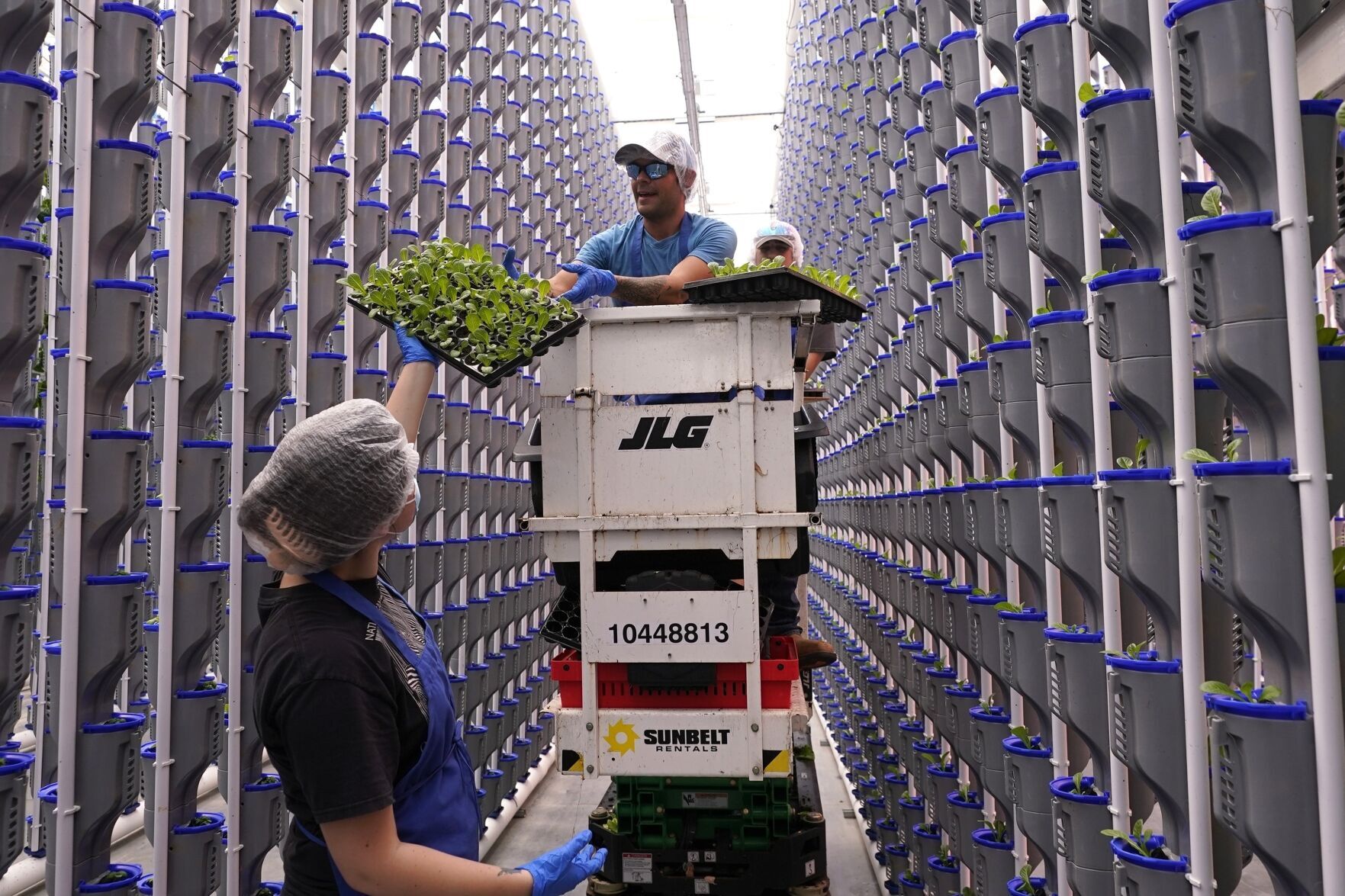 Indoor farming on the rise while some operations fail