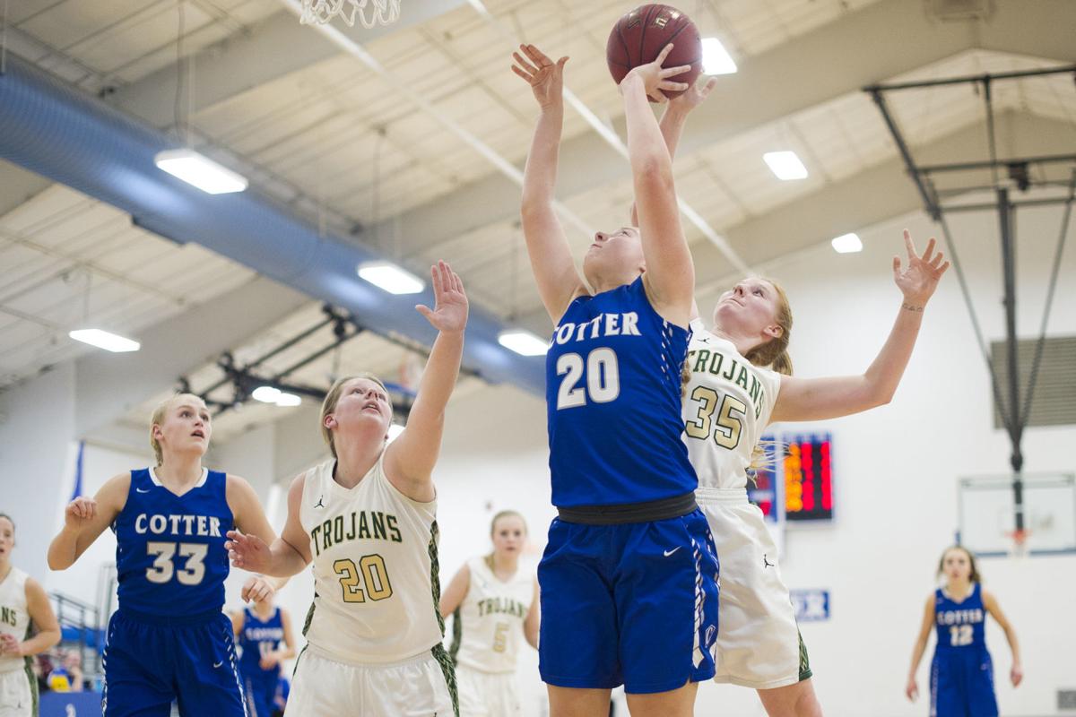 Girls Basketball Mshsl Section 1aa 1a Tournament Brackets