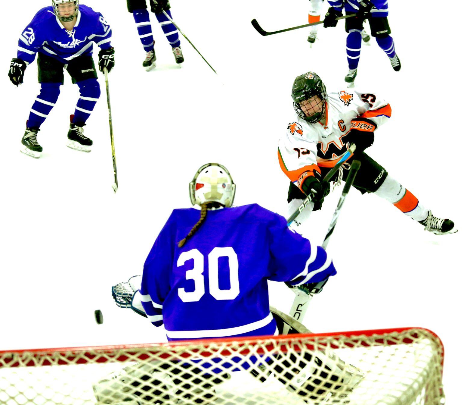 IN PHOTOS Winona girls hockey team defeats Red Wing 31