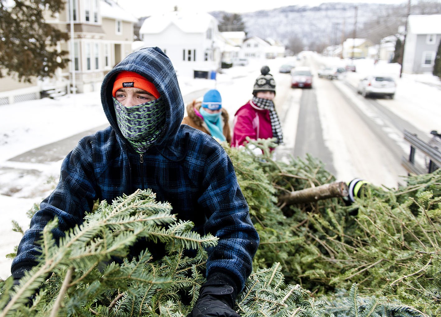 freehold township christmas tree pickup