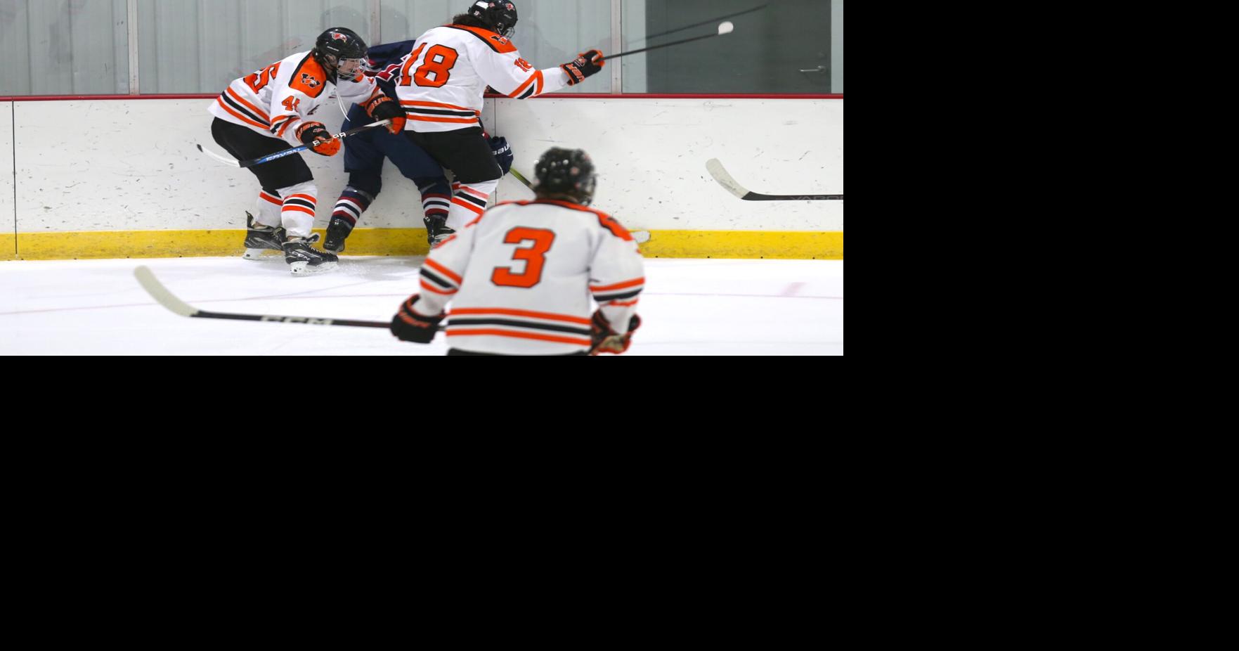 Scenes from Winona/Cotter boys hockey #39 s overtime loss to Albert Lea