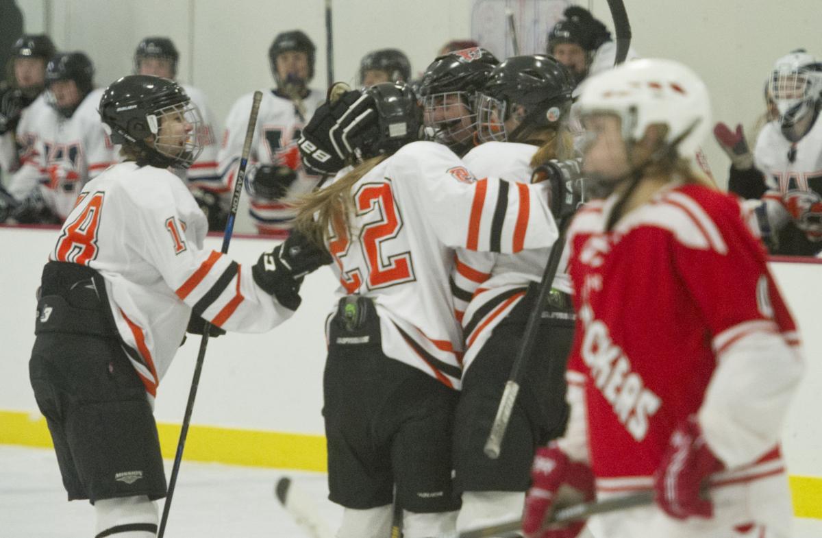 HELP WANTED: As Winona girls hockey faces uncertain future current