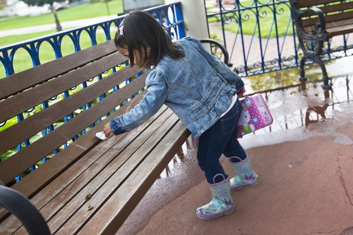 Winona County Rocks Painted Pebbles Spread Ripples Of Happiness