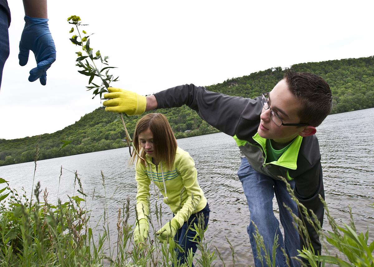 WMS students fight invasive species around Lake Winona Education