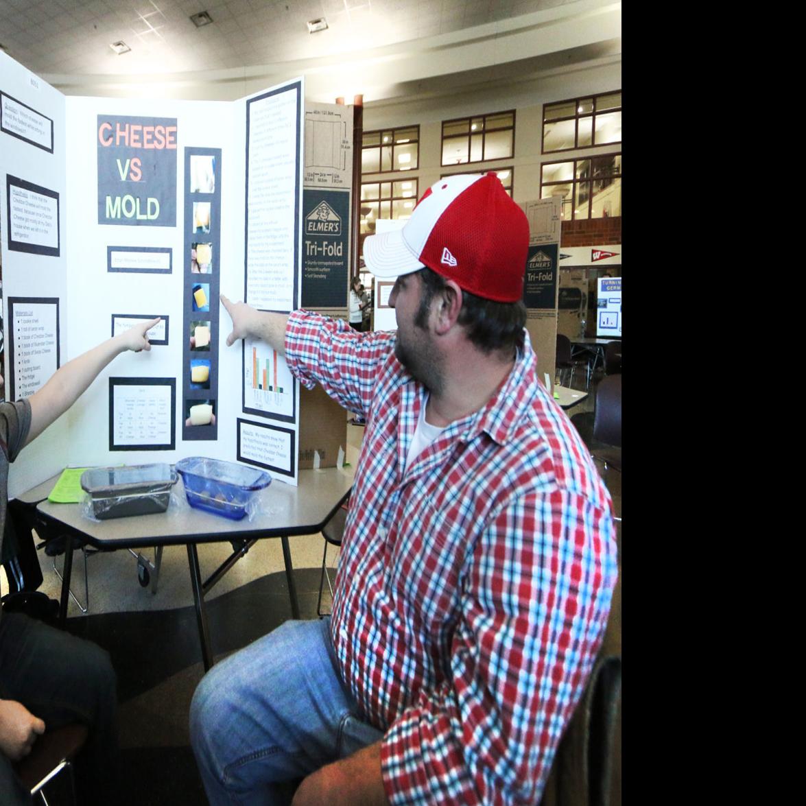 What Type Of Cheese Grows Mold The Fastest Winona Middle School Science Fair Answers This And Many Other Burning Questions Local Winonadailynews Com