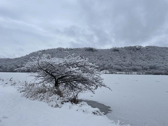 Snow in Winona
