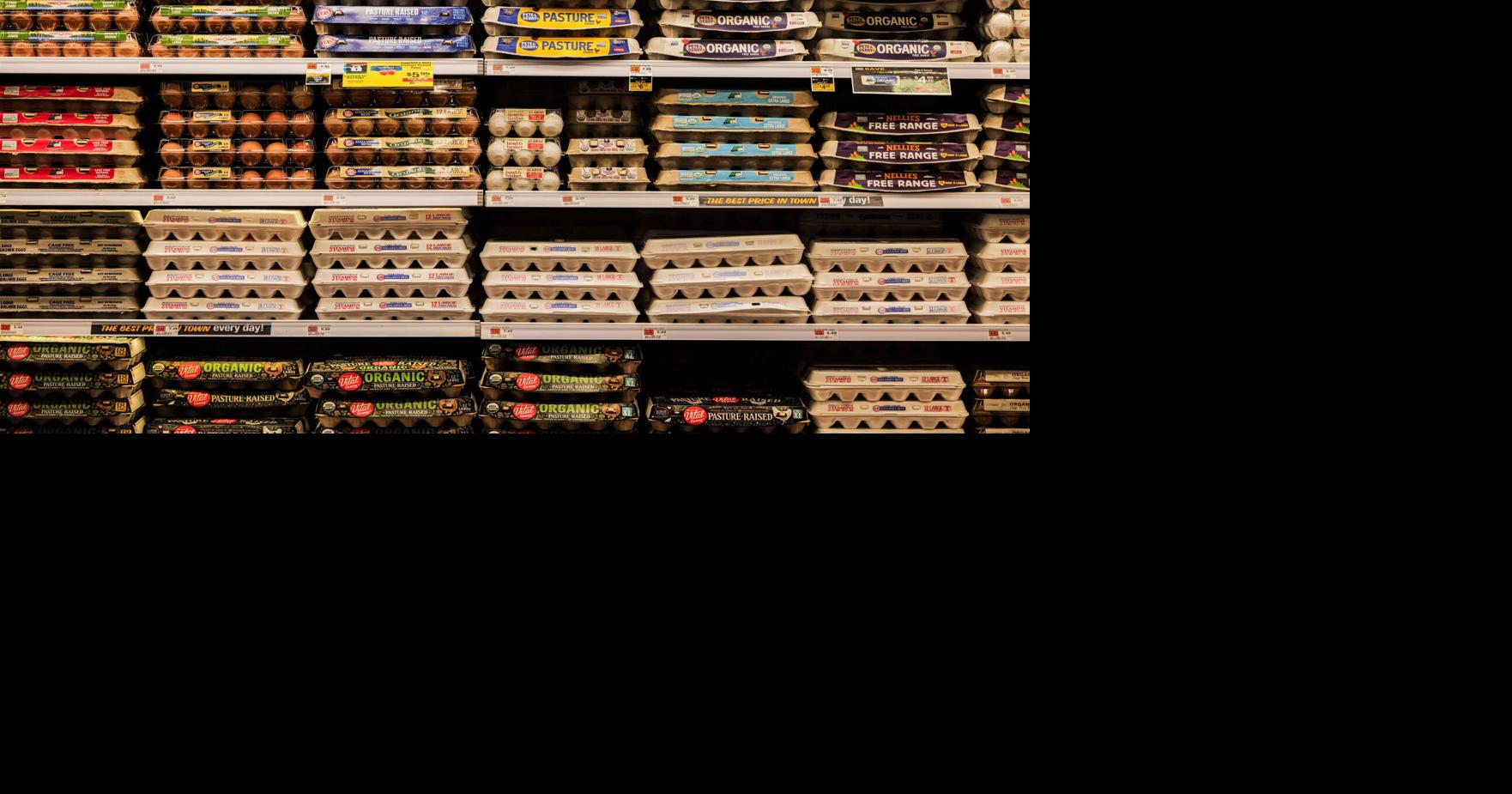 PUBLIC HEALTH Are food recalls on the rise? A look at what the data reveals Dian Zhang USA Today Sep 2, 2026 9 mins ago