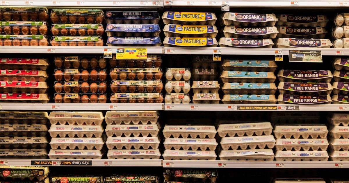 PUBLIC HEALTH Are food recalls on the rise? A look at what the data reveals Dian Zhang USA Today Sep 2, 2026 9 mins ago