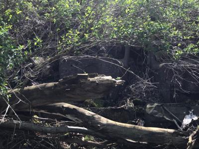 did you know there are old cars buried in the hillside near farmers