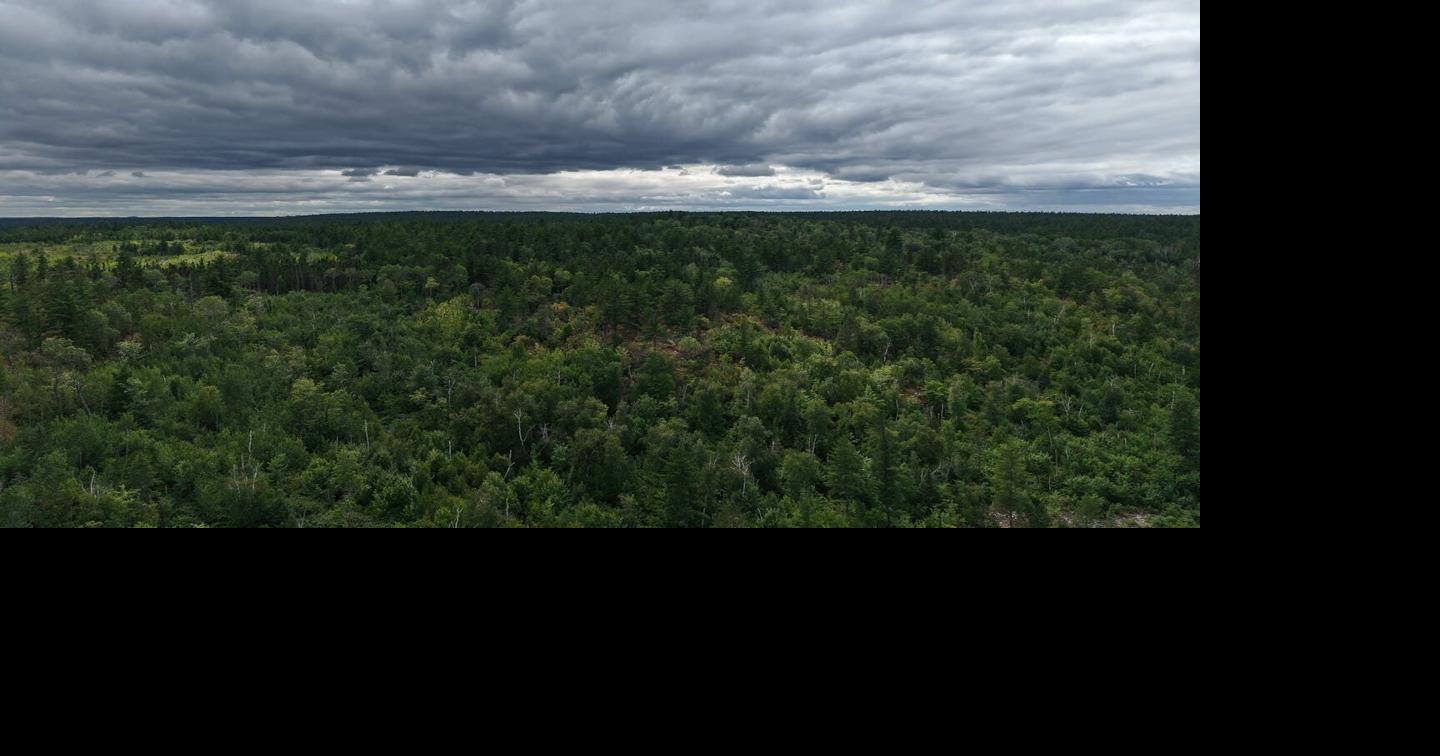 Forest Service is ‘working on a plan' to partially reopen Boundary Waters Dave Orrick Star Tribune Jul 23, 2026 6 mins ago