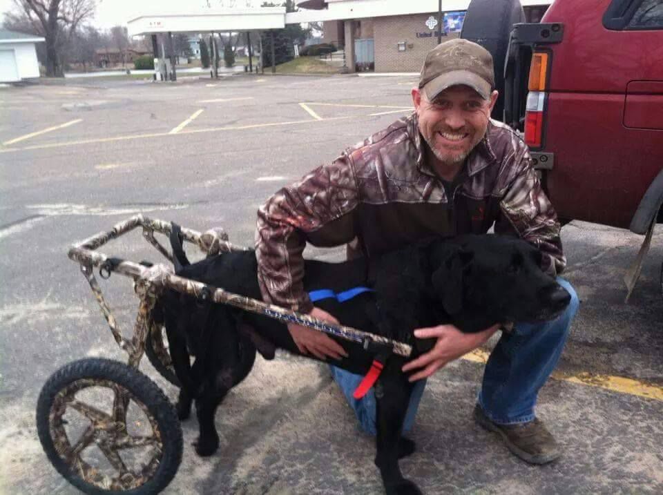 Gunnar's Wheels puts dogs back on their feet