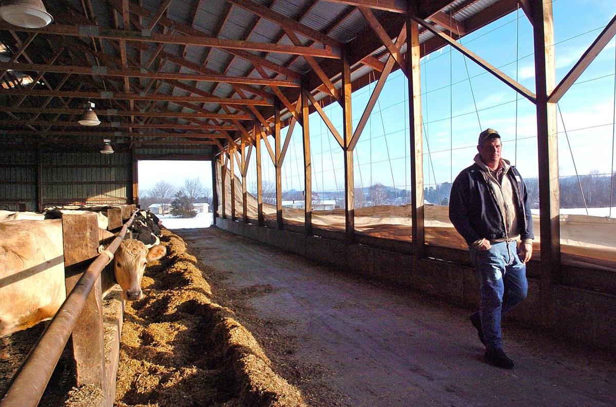 Paul Halderson feedlot