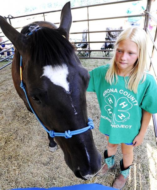 2012 Winona County Fair livestock results | Local | winonadailynews.com