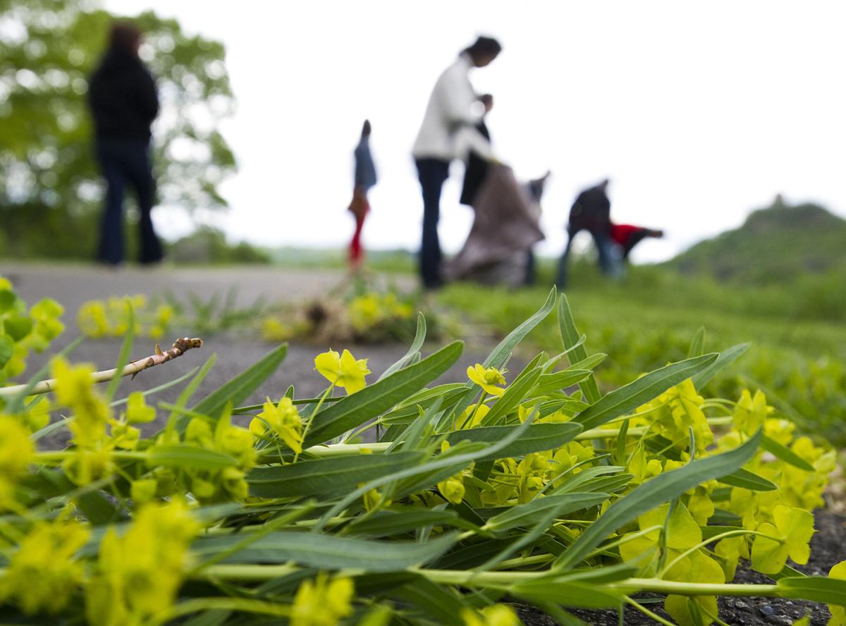 WMS students fight invasive species around Lake Winona Education