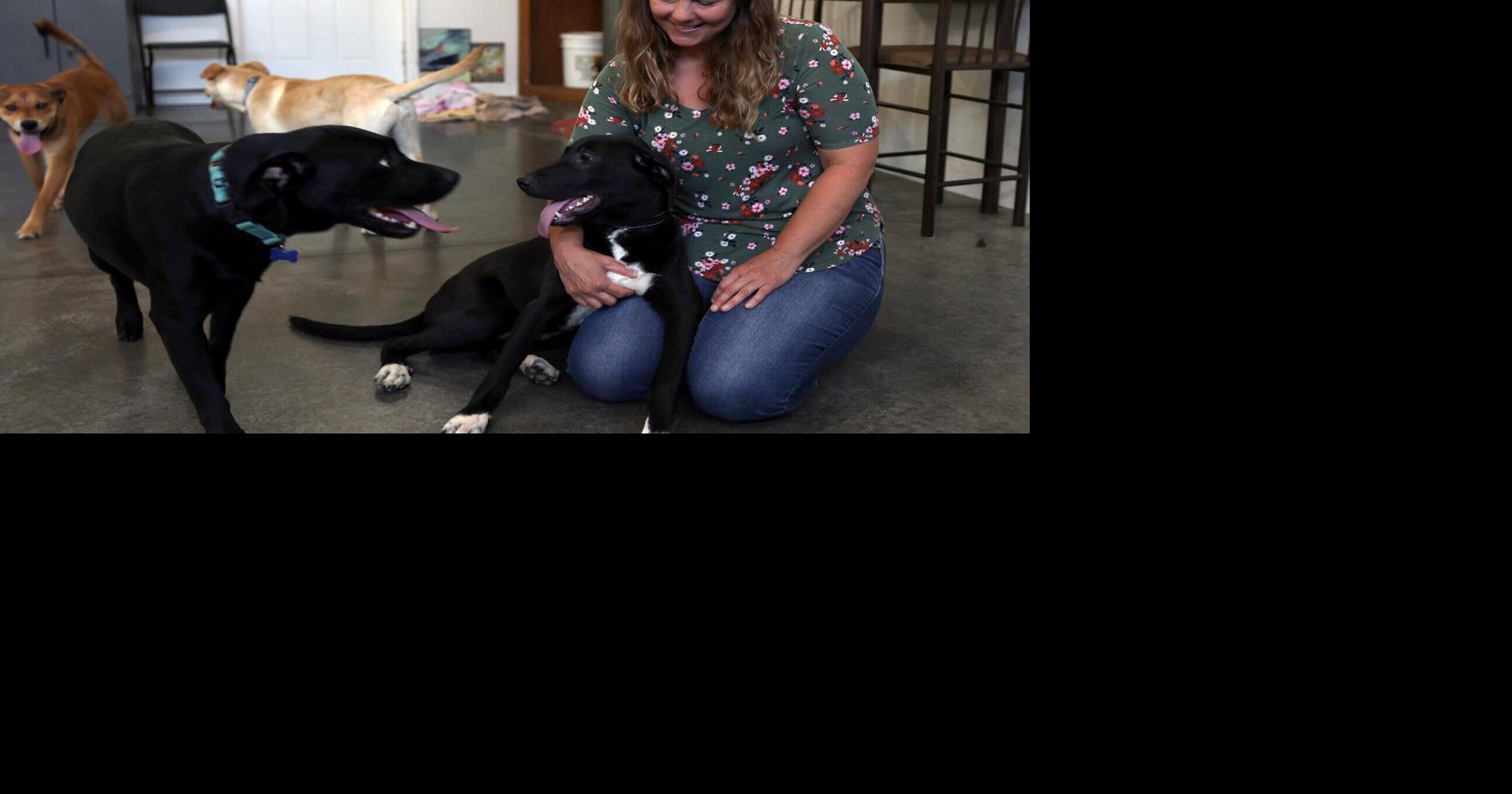 THE BRIGHT SIDE ‘This is their home': Holmen woman turns house into dog rescue Sep 15, 2026 Sep 15, 2026 Updated 14 mins ago