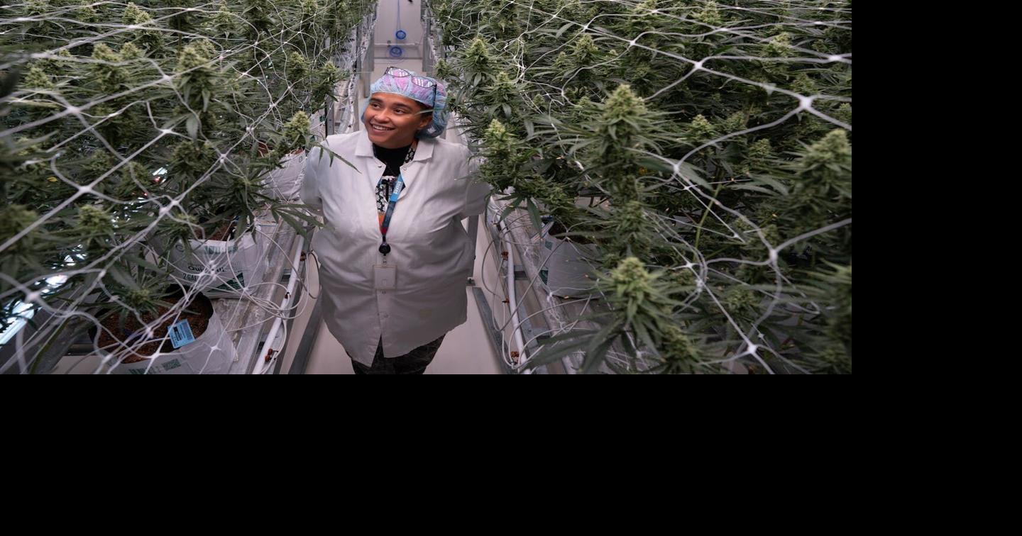 Minnesota is the only state with tribal dispensaries off reservations. Now others look to model it. Kim Hyatt and Ava Grace Star Tribune Aug 10, 2026 1 min ago