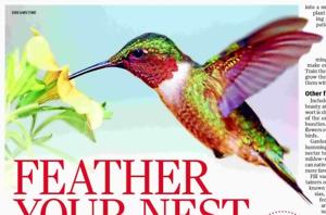FEATHER YOUR NEST