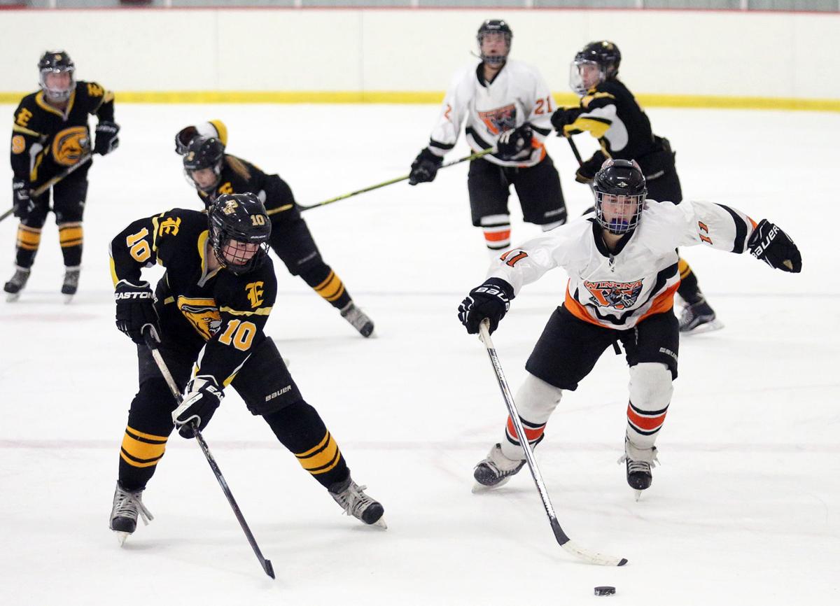Winona girls hockey team falls in overtime High School