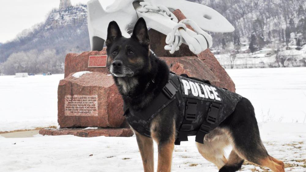 Winona police K-9 Neko retires after nine years with department - Winona Daily News 1 Winona police K-9 Neko retires after nine years with department - Winona Daily News 1