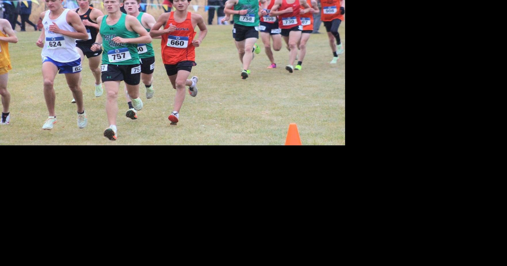 MSHSL state cross country Winona and LewistonAltura/RushfordPeterson