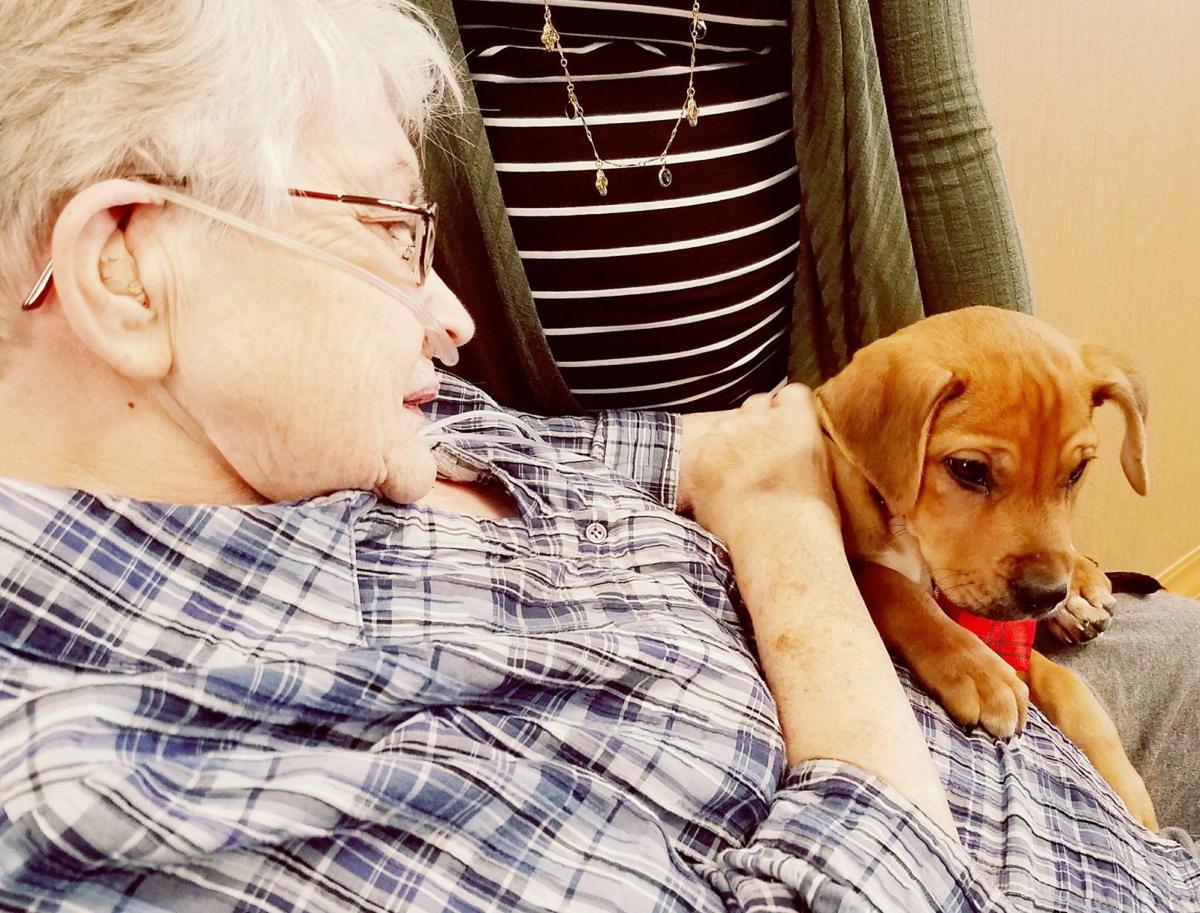 Winona Area Humane Society puppies visit residents of St. Anne’s