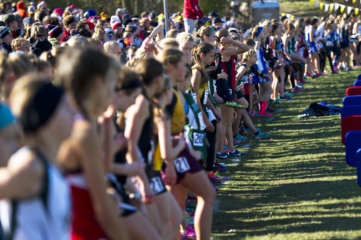 Photos MSHSL State Cross Country Meet High School