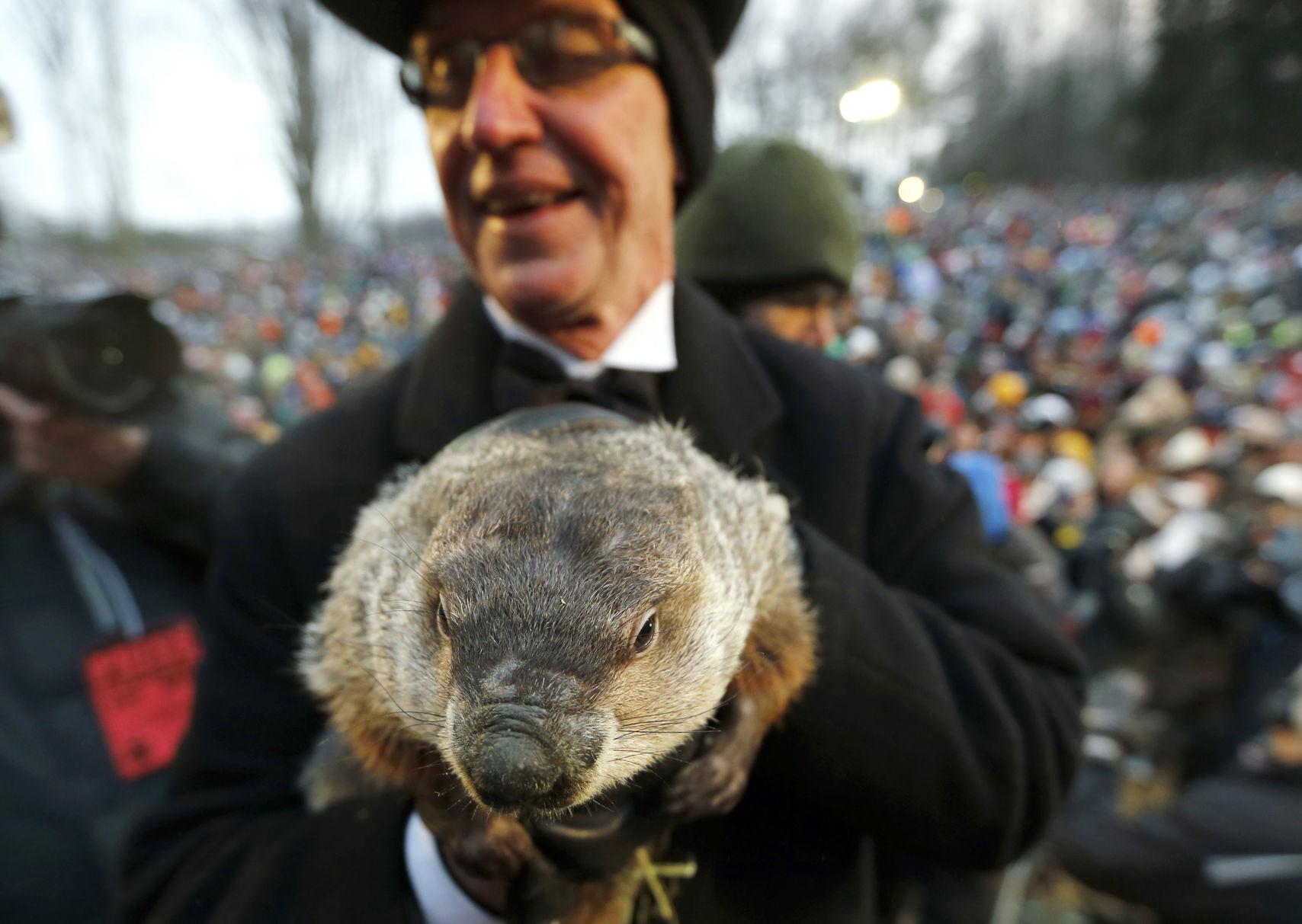 18 photos of groundhogs to celebrate Groundhog Day 2018 | National