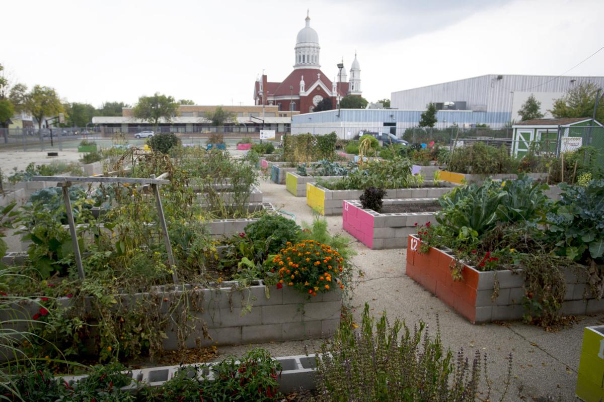 A fruitful first season East Recreation Center community garden looks