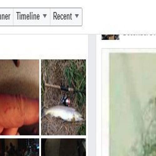 Winona County Board Candidate Posts Photo Comparing Obama To Monkey Calls It Kind Of Humorous Government Politics Winonadailynews Com