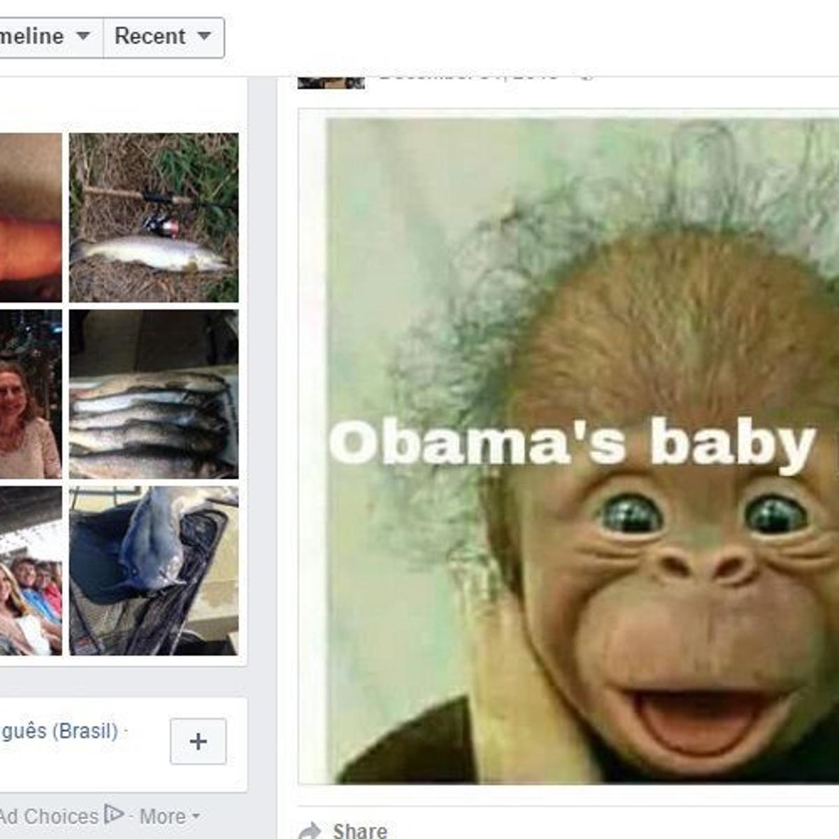 Winona County Board Candidate Posts Photo Comparing Obama To Monkey Calls It Kind Of Humorous Government Politics Winonadailynews Com