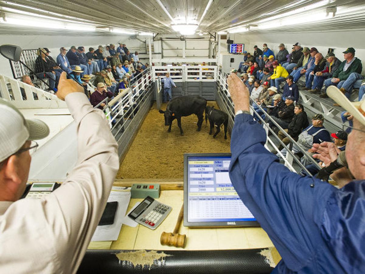 Photos Lanesboro Sales Commission 9 12 14 Local Winonadailynewscom Photos Lanesboro Sales Commission 9 12 14 Local Winonadailynewscom