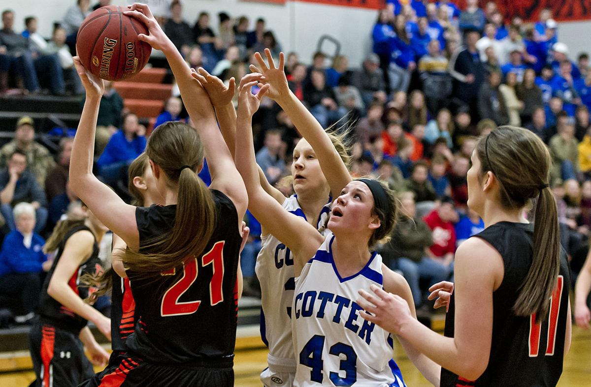 Photos Cotter Girls Basketball 201415