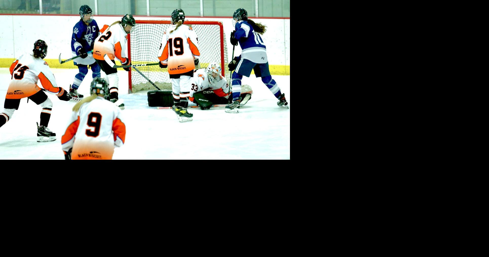 IN PHOTOS Winona girls hockey team earns 41 home victory over Rochester