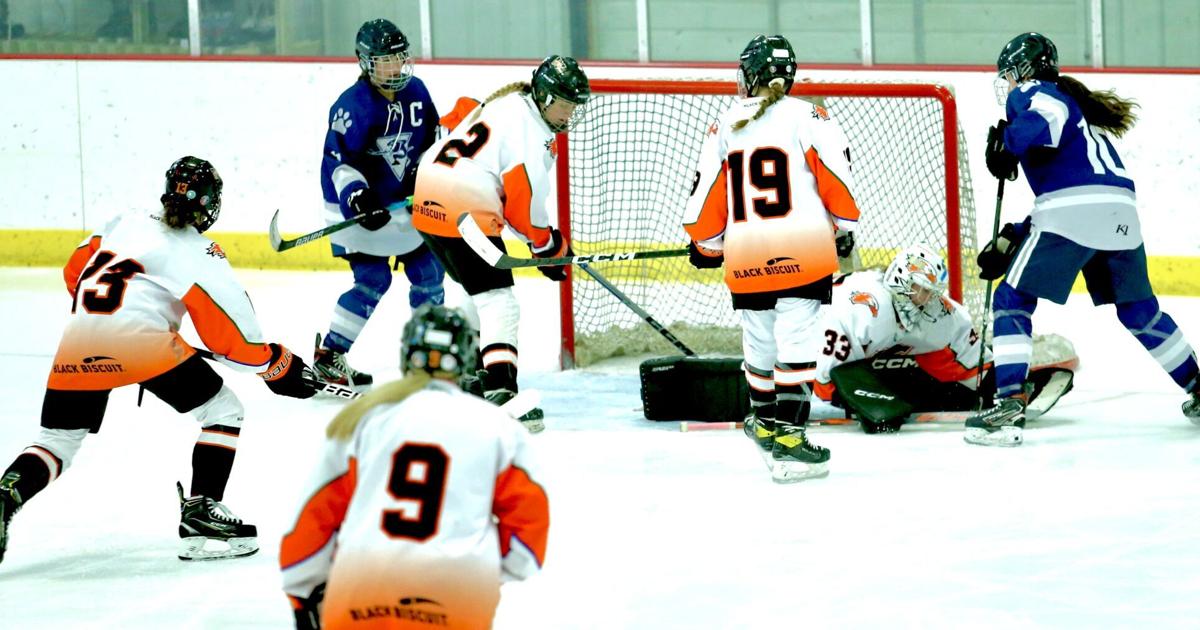 IN PHOTOS Winona girls hockey team earns 41 home victory over Rochester