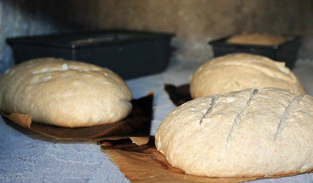 Winona Couple Builds Backyard Brick Bread Oven Publishes Book