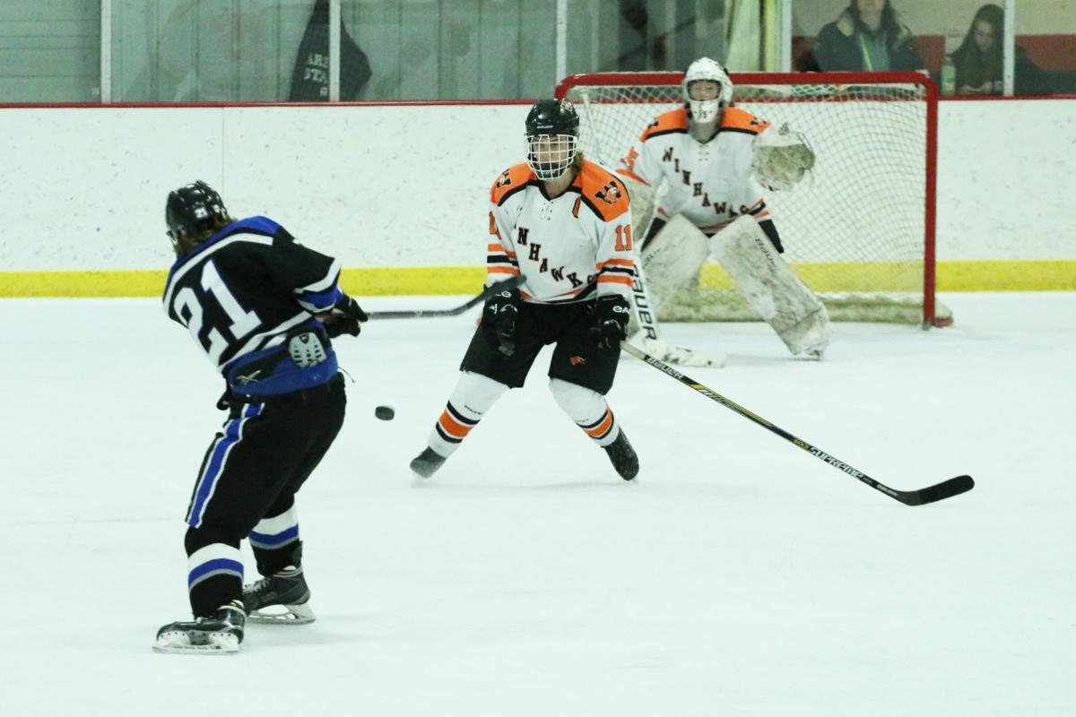 PHOTOS Winona High Boys Hockey 201718 Season High School