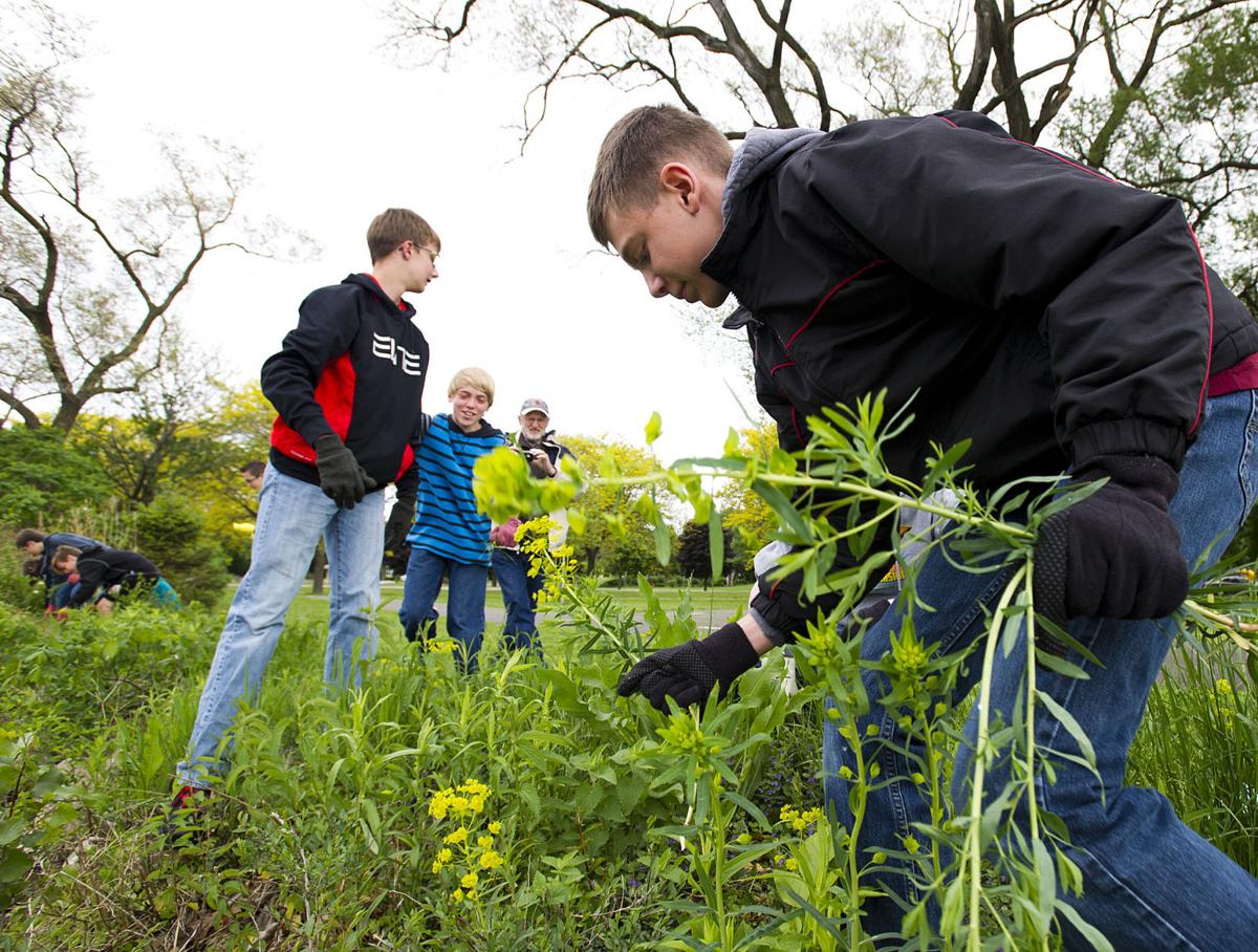 WMS students fight invasive species around Lake Winona Education