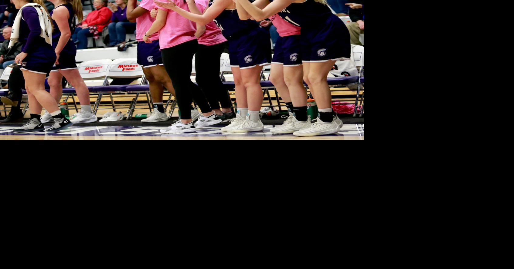 NSIC basketball tournament WSU women get home game, men play Duluth
