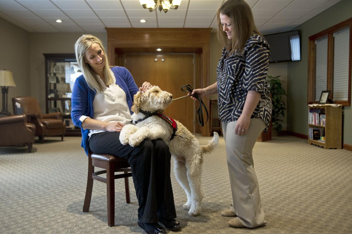 A Furry Friend When Times Get Ruff Hoff Funeral Homes Introduces New Therapy Dog Local Winonadailynews Com