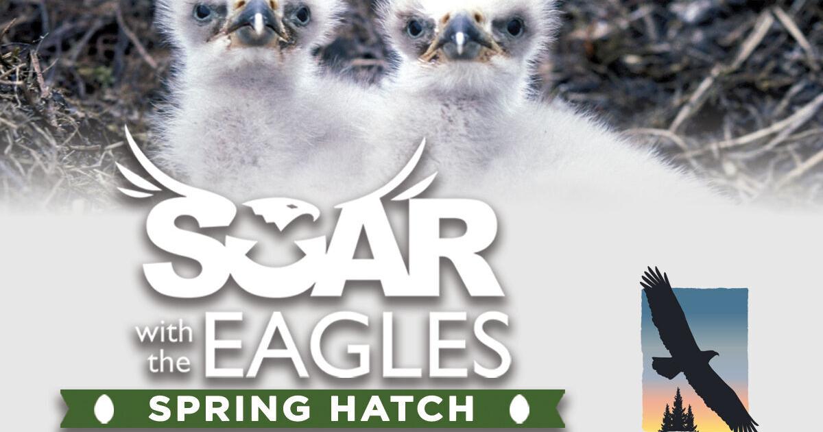 SOAR With the Eagles returning to National Eagle Center