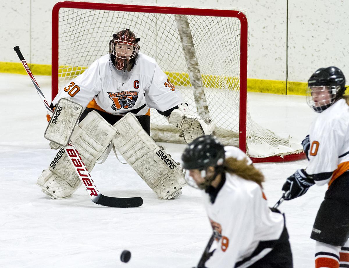 Photos Winona High Girls Hockey 201415
