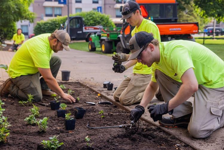 Groundskeepers at work