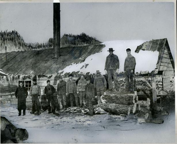 Dunn County logging