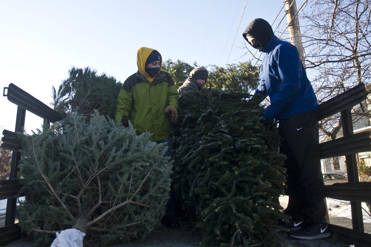 Want Your Christmas Tree Picked Up In Winona Here S What You Need To Know Local Winonadailynews Com