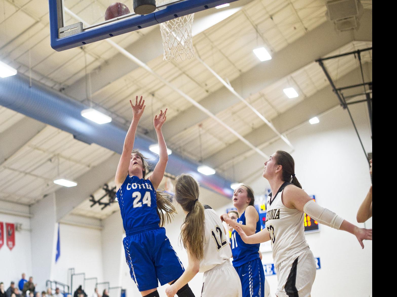 Girls Basketball Mshsl Section 1aa 1a Tournament Brackets