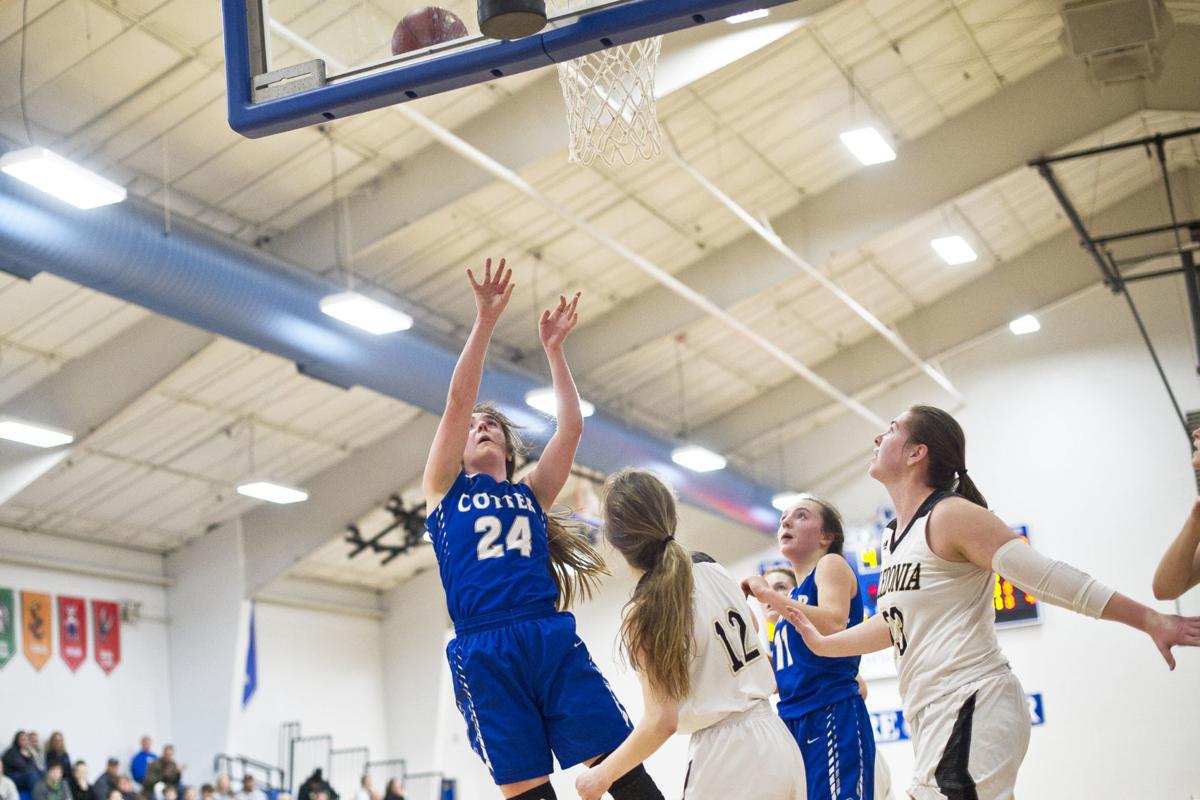 Girls Basketball Mshsl Section 1aa 1a Tournament Brackets