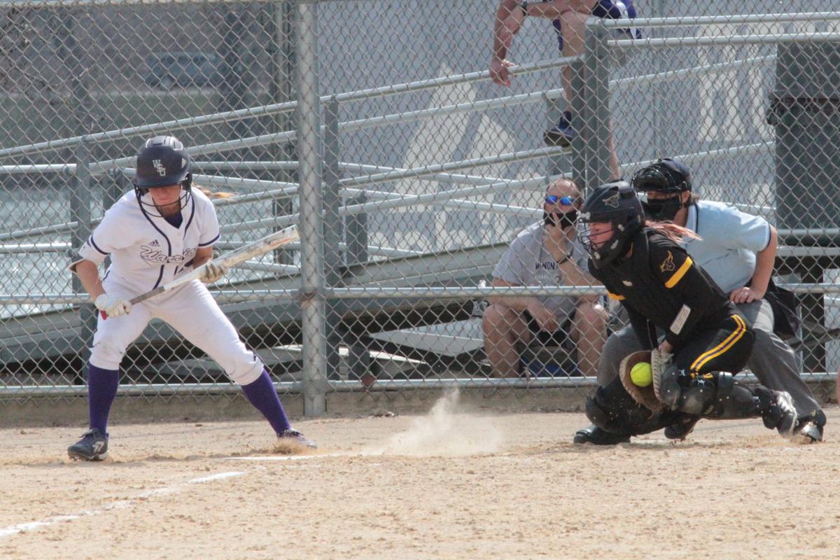 Mitchell Mueller - Baseball - Winona State University Athletics