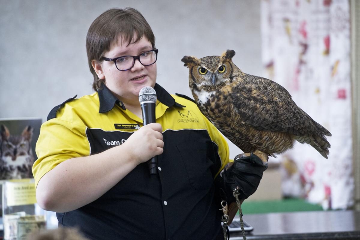 International Owl Center offers free admission during ...